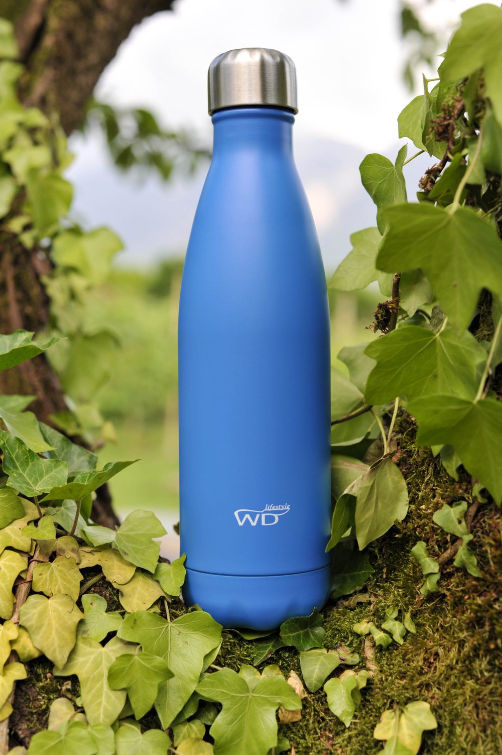 Colored Thermal Water Bottles 500ml WD Lifestyle