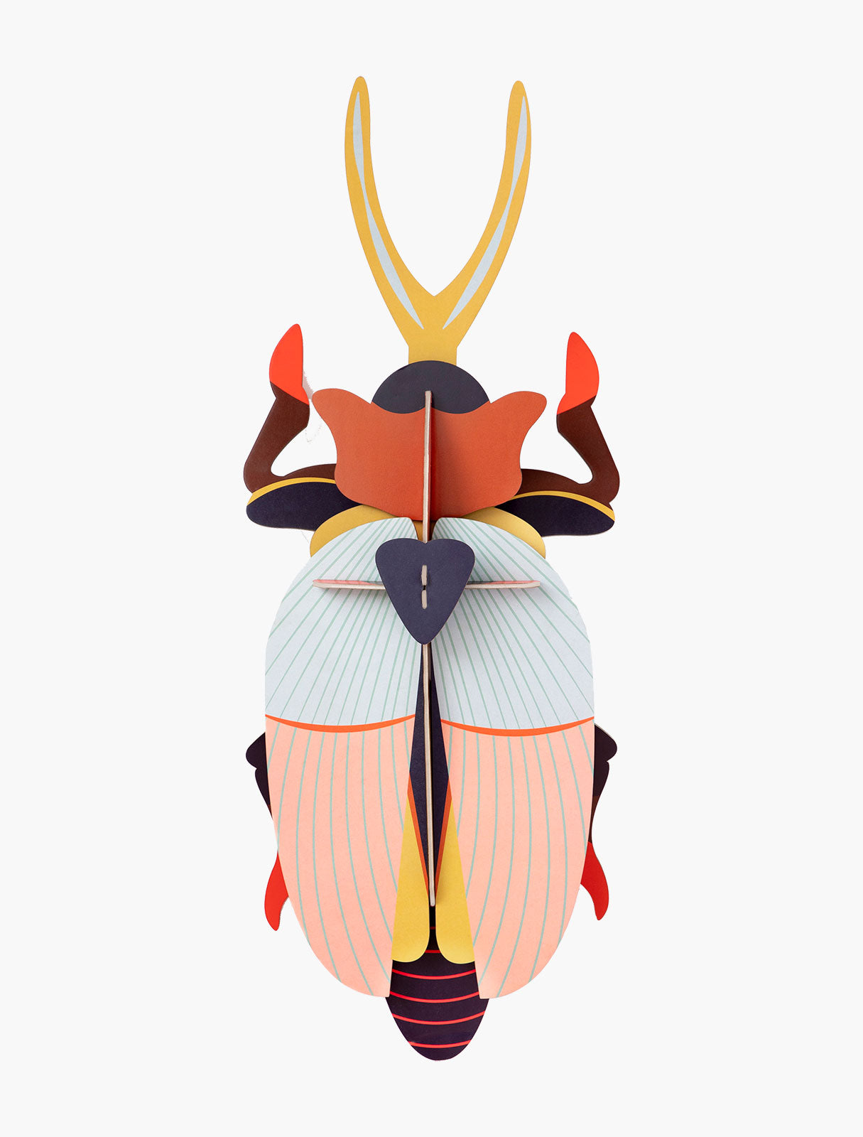 Rhinoceros Beetle Studio Roof ecosostenibile