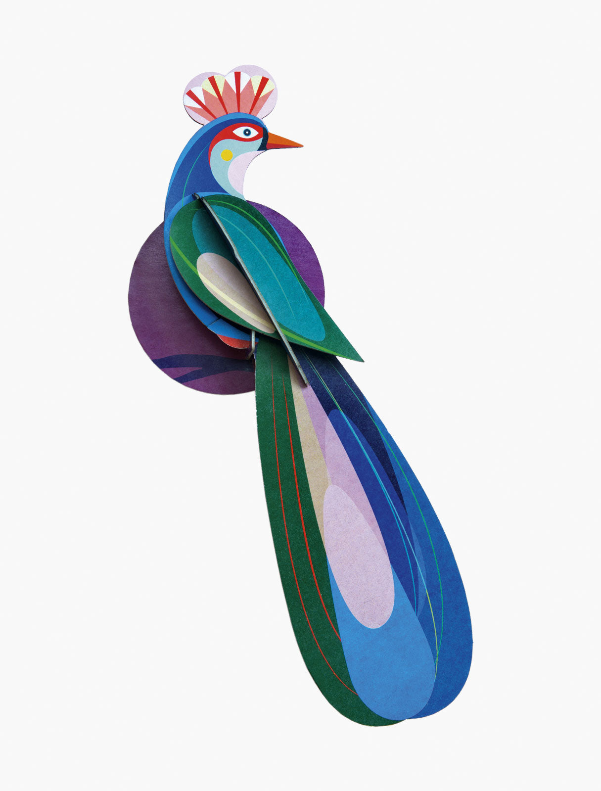 Paradise Bird Banda Studio Roof ecosostenibile