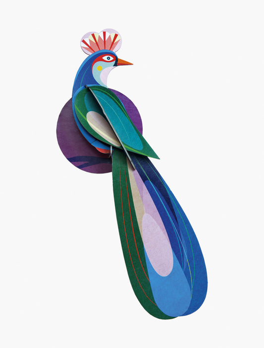 Paradise Bird Banda Studio Roof ecosostenibile
